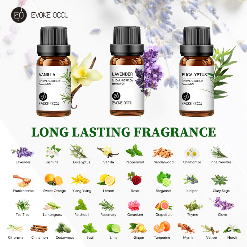 EVOKE OCCU 10 ml Olio Essenzia - Candle Making Raw Material recensione e prezzo